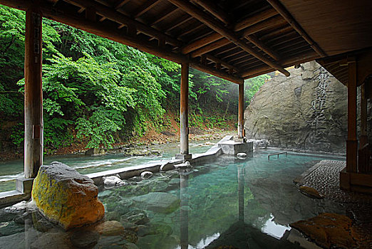 日本,温泉