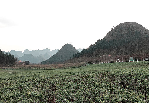 贵州醇景区风光