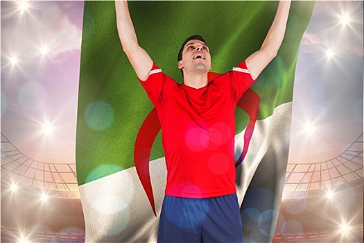 兴奋,球员,欢呼,拿着,阿尔及利亚,旗帜,大,足球场,鲜明,蓝天