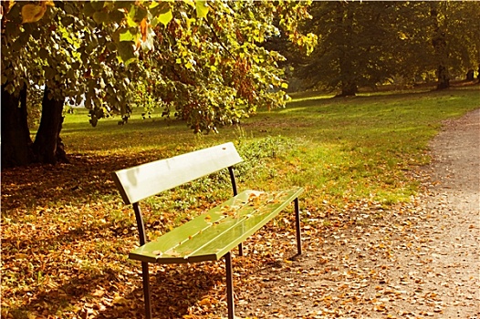 木制长椅,城市公园,早晨