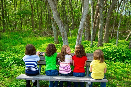 孩子,姐妹,朋友,女孩,坐,树林,公园长椅
