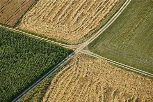 农业,小路,分开,不同,地点,巴伐利亚,德国