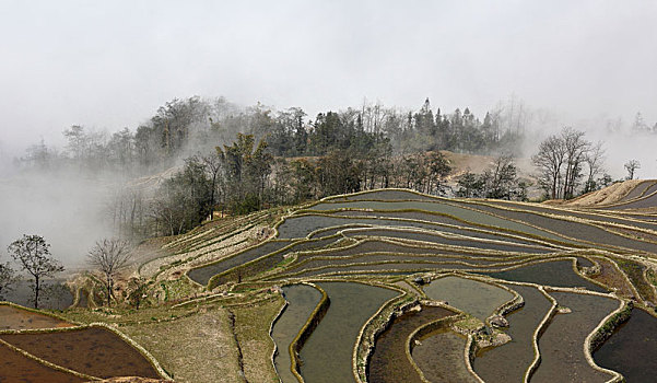 云南红河州元阳梯田自然景观