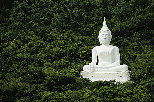 佛像,树林,泰国