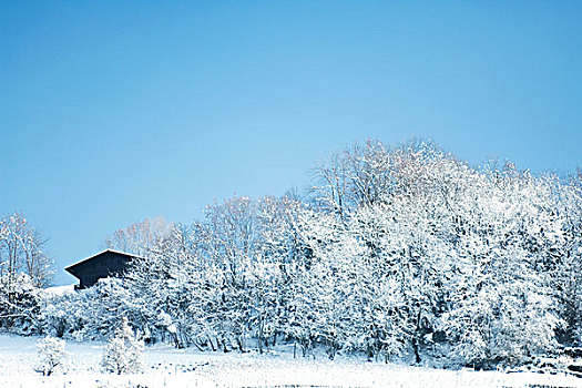 冬季风景,木房子