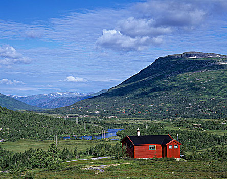 特色,红色,木屋,高原,靠近,霍达兰,挪威,斯堪的纳维亚,欧洲