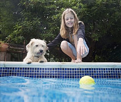女孩,狗,游泳池