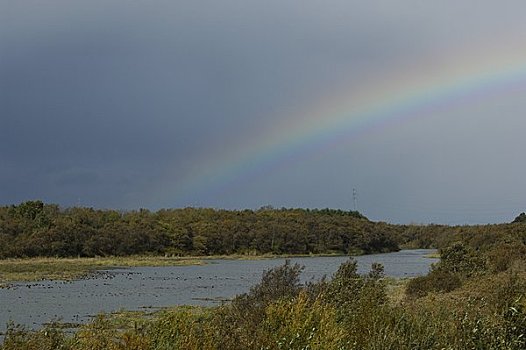 彩虹,水塘