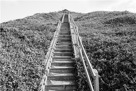 楼梯,山坡,黑白