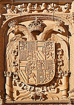 皇家,高处,入口,院落,萨拉曼卡,萨拉曼卡省,西班牙