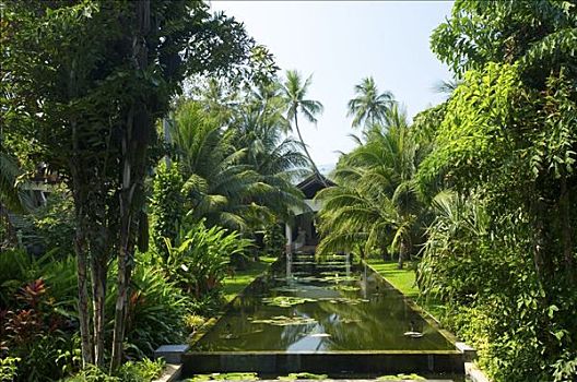 酒店,苏梅岛,泰国