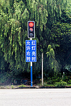 紅綠燈