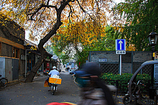 巷子,四合院,房子,道路