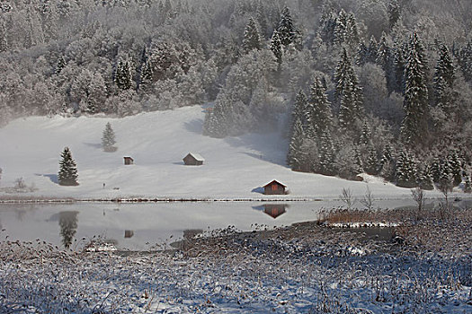 第一,雪,靠近,湖