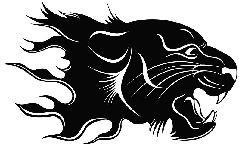 头部,虎,黑色,剪影,火焰_高清图片_全景视觉