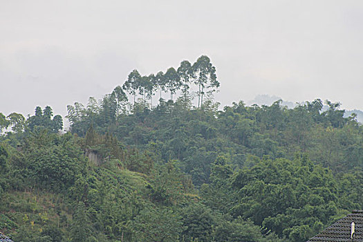 四川邛崃直台羌寨风光