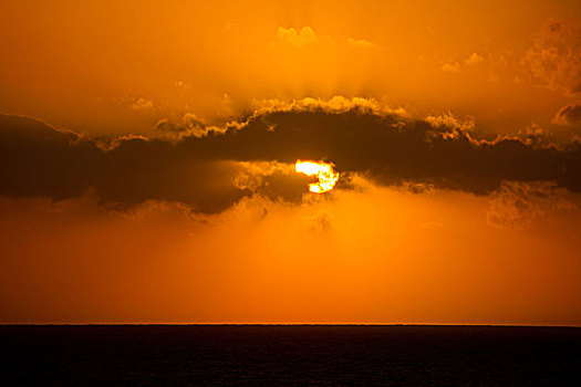 金色,橙色,日落,太阳,地中海,西班牙
