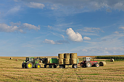 拖拉机,堆积,干草包,黑森州,德国