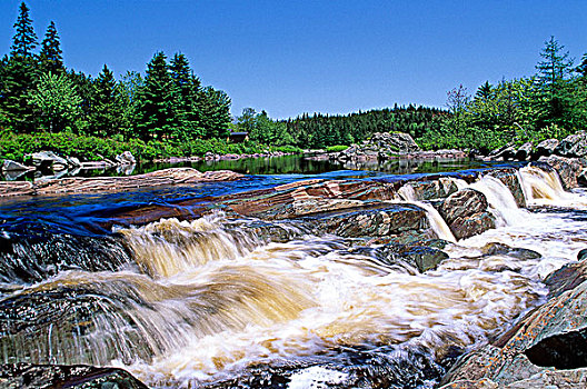 瀑布,河,新斯科舍省,加拿大