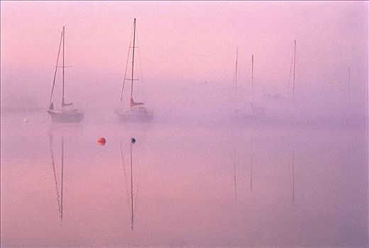 船,薄雾,黎明,河,新布兰斯维克,加拿大