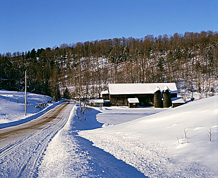 空路,屋舍,树