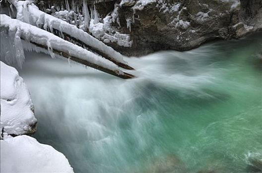 冰,雪,排列,树,上方,流水,峡谷,靠近,加米施帕藤基兴,巴伐利亚,德国,欧洲