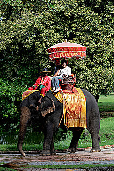 旅游,骑,大象,泰国
