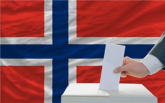 男人,投票,选举,挪威,正面,旗帜
