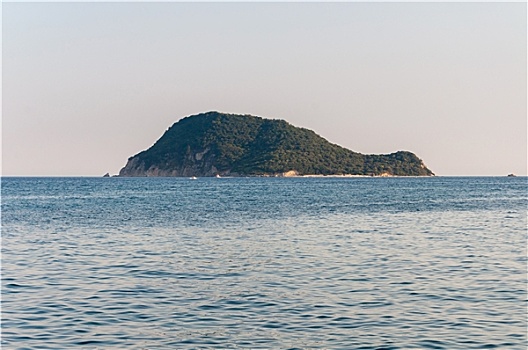 海龟,岛屿,扎金索斯,希腊