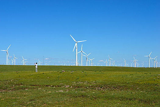 风力发电,草原,内蒙古