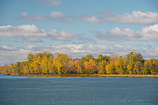 加拿大,魁北克,劳伦斯河,靠近,三个,河,秋色,大幅,尺寸