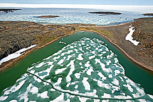 融化,冰,北冰洋,海岸线,特征,海湾