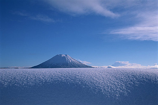 雪原,山