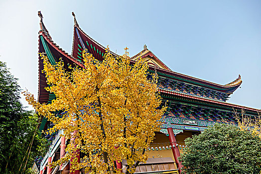 长沙古开福寺