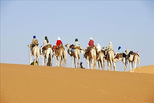 骆驼,跋涉,沙丘,沙漠,利比亚