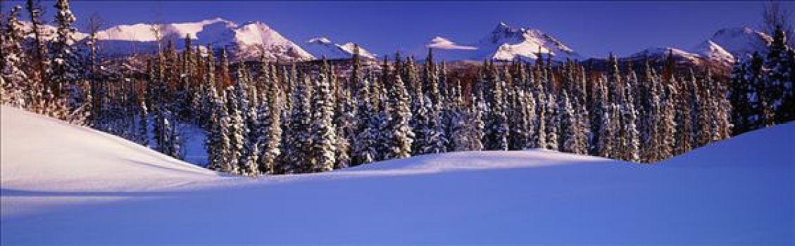楚加奇山,阿拉斯加,冬天,景色