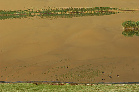 甘肃巴丹吉林沙漠l中的湖泊