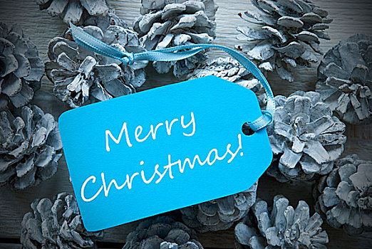 淡蓝色,标签,冷杉松果,文字,圣诞快乐
