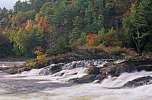 秋天,景色,瀑布,法国河,南,萨德伯里,安大略省,加拿大