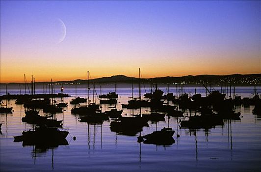 加利福尼亚,蒙特利湾,渔船,剪影,日落,新月