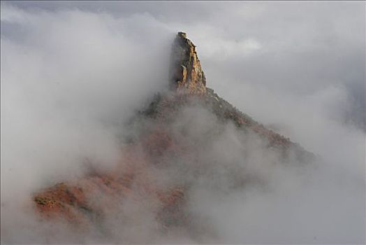 攀升,北缘,大峡谷,雾,亚利桑那,美国