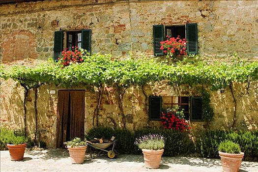 盆栽,户外,房子,广场,罗马,蒙特利格奥尼,锡耶纳省,托斯卡纳,意大利