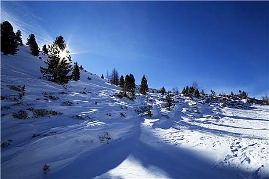 雪,山景,奥地利,阿尔卑斯山