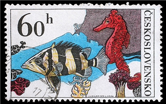 邮票,捷克斯洛伐克,海马
