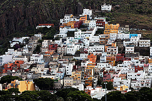 彩色,房子,圣安德烈斯岛,特内里费岛,加纳利群岛,西班牙,欧洲