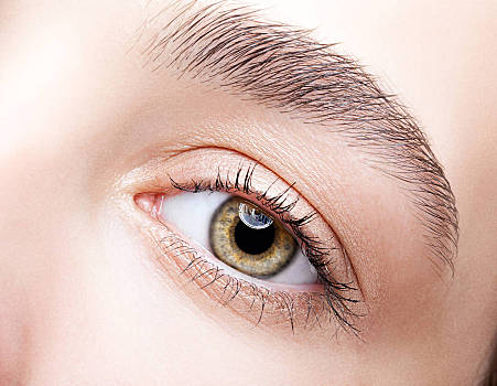 女性,褐色眼睛,褐色,眼部化妆
