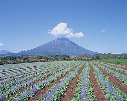 地点,山