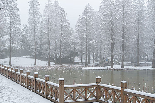 武汉冬日雪景风光