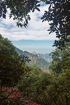 三清山奇峰怪石