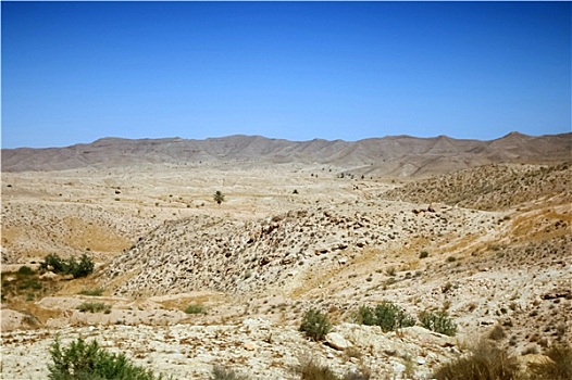 岩石,沙漠,突尼斯